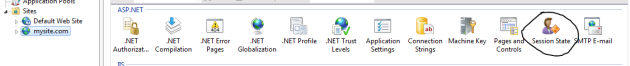 Session state icon in IIS